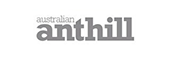 anthill